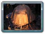 DSCN5325